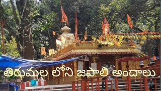 Japali Temple view