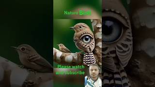 BD reaction nature bird #shortvideo #youtubeshorts #foryou #shortsfeed