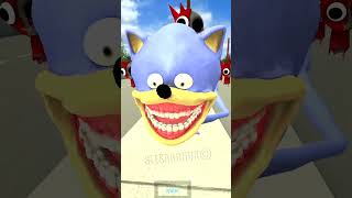 NEW SPRUNKI HORROR RADDY FAMILY VS EVOLUTION ZOOCHOSIS MUTANT SONIC BATTLE in Garry's Mod ! #sprunki