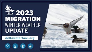 October 2023 Winter Weather Migration Update