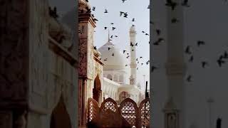 beautiful Islamic status Islamic status on Muslim 4K Islamic status, #short# #editing #viral #foryou