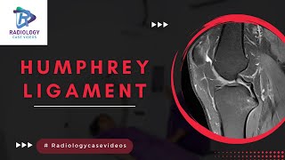 HUMPHREY LIGAMENT