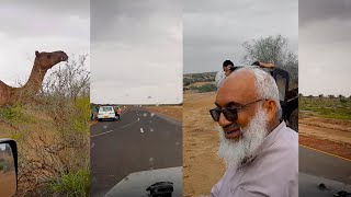 A trip to Cholistan desert | Rahimyar Khan | Zaki Nagar