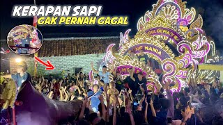 GAK PERNAH GAGAL🔥 Kerapan sapi gong mania bikin gempar veteran Pamekasan