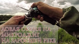 Ловля окуня на микроджиг на заросшей реке