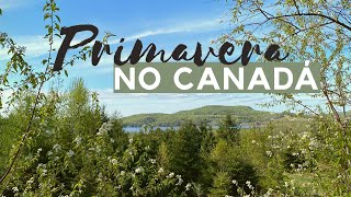 PRIMAVERA no Canadá | Aproveitando a estação