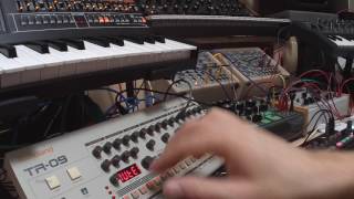 Midnight Jam with Moog Sub37, Dreadbox, Microbrute, VolcaFM, JP08 and TR09 (Riamiwo StudioVlog 21)