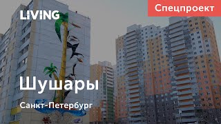 Как формируются районы новостроек: Шушары