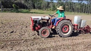 Então vamos plantar milho 🌽