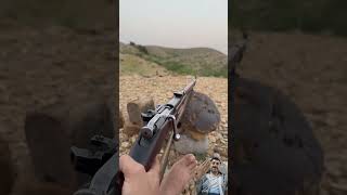 Bu silah niye geç patladı? #gunshooting #mosin #мосинка #Russiansweapons