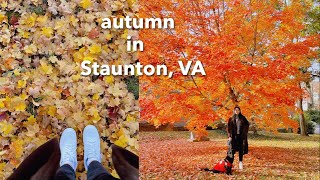 🍂🍁 Fall vlog | seeing colorful autumn leaves in Staunton, VA