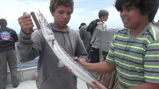 Reel Angler Fishing Show - Sharking Crew Tv Ready