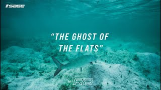 SALT R8 Applications | The Ghost Of The Flats