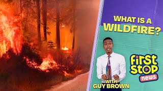 WILDFIRES explained