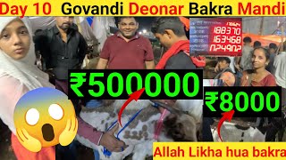 Day 10 Last Night (Allah likha hua Bakra ₹500000) Govandi Deonar Bakra Mandi