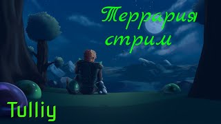 Террария играю с подписчиками!!!