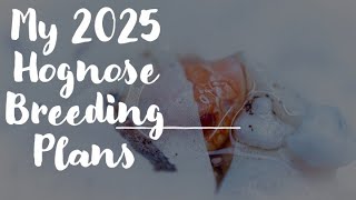 Breeding Plans for 2025