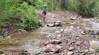 Lucy the Doodle Having Fun at Junction Creek