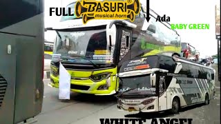 hunting bus Basuri v1,v2,V3 di gunung jati Cirebon full basuri