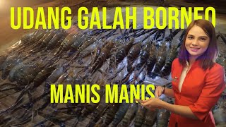 Gila!! Puluhan KILO UDANG GALAH Ditawan Kumpulan Pemancing Ini Nekad Terbang ke Kepulauan BORNEO!