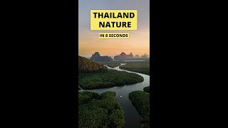 Have you EVER seen anything LIKE THIS? 🟢 | Nature | Thailand Travel Tips