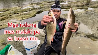 Amazing 1 hr fishing fishing 驚人的 1 小時釣魚視頻