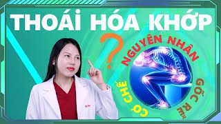 Nguyên Nhân Thật Sự Gây Thoái Hóa Khớp – Bạn Đã Biết Chưa| Bác sĩ Trang