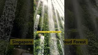 Singapore indoor waterfall cloud forest #singapore #instagram #explore #shorts#avatar2 #cloudforest