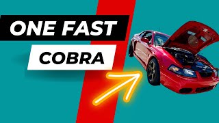 Driving an SVT COBRA Terminator