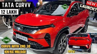 30 kmpl mileage🔥 Tata curvv cng 2024 in india | tata curvv new update