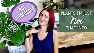 Houseplants That I'm Not That Into | Houseplants I Will Never Own | Houseplants I Have Never Owned