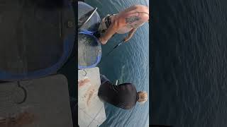 Catching a hammerhead off Florida Keys