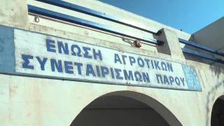 ΕΝΩΣΗ ΑΓΡΟΤΙΚΩΝ ΣΥΝΕΤΑΙΡΙΣΜΩΝ ΠΑΡΟΥ