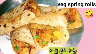 వెజ్ చపాతి స్ప్రింగ్ రోల్స్// Indian veg chapathi spring rolls//kids favourite veg spring rolls//