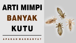 Arti Mimpi Banyak Kutu