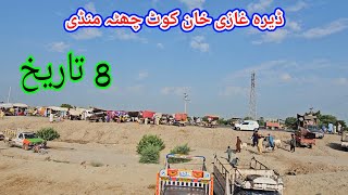 8 August 2024 | kot Chota Mandi | Dera Ghazi Khan mandi update today