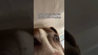 Dogs Are The Best TikTok 1 2eatallday