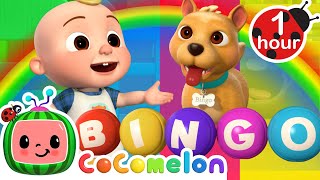 Bingo's Rainbow Color Toys Song! (Bingo Was His Name-O) | CoComelon Nursery Rhymes & Kids Songs