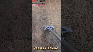 Carpet Cleaning in Kendall - Heavily Soiled Carpet!