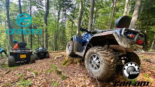 Can-Am & CF Moto 's lost in the forest 🌳