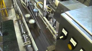 Puffin Automation - High Speed Can Sorter - Eligo 60