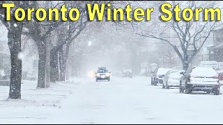 Toronto Winter Snow Storm Walk to Chester Hill Lookout | East York