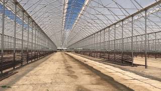 Grow: Azerbaijan, Baku, GrowGroup / Richel greenhouse under construction