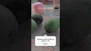 MANGGA MUDA ATAU MAMA MUDA ?? || #alam #desa #indonesia #kampung #sehat #buah #natural #segar