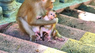 Sarika Forcing Baby Sariki To Go Out And Play, Sariki Likes Is Hungry Milk