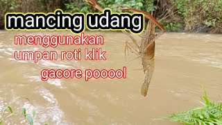 cara mancing udang di sungai kecil