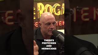 How Toxic Ingredients Harm Us #podcastclips #podcast #joerogan #donaldtrump #kamalaharris