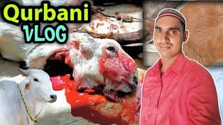 Bakra Eid Vlog 2024 😭 | Eid Pe Sab Emotional Ho Gaye 💔😭 @Firoj01vlog