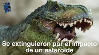 5 Curiosidades Interesantes de los Dinosaurios