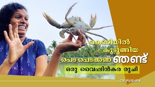 ഞണ്ട് കറിയുണ്ടേൽ രണ്ട് കറി വേണ്ട Part1 || Mud Crab Hunting with Crab Trap || Vypin || Taste of Kochi